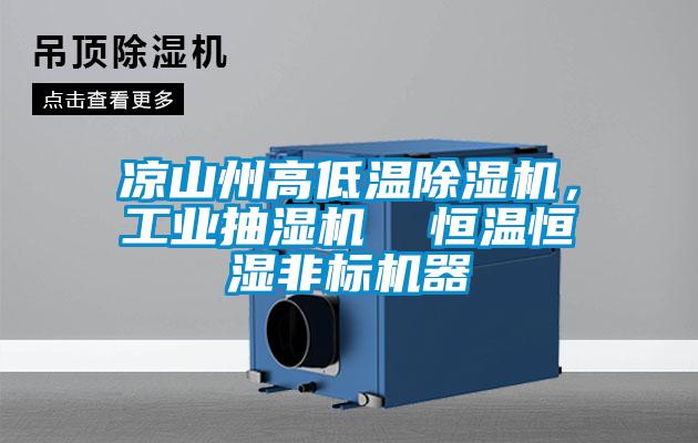 涼山州高低溫除濕機，工業抽濕機  恒溫恒濕非標機器