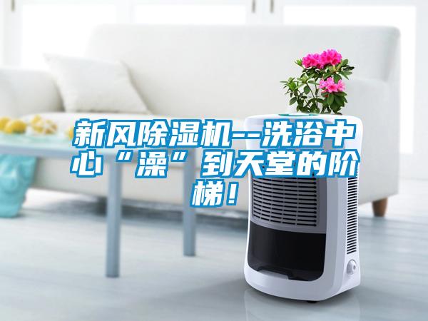 新風除濕機--洗浴中心“澡”到天堂的階梯！