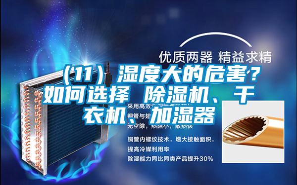 （11）濕度大的危害？如何選擇 除濕機、干衣機、加濕器