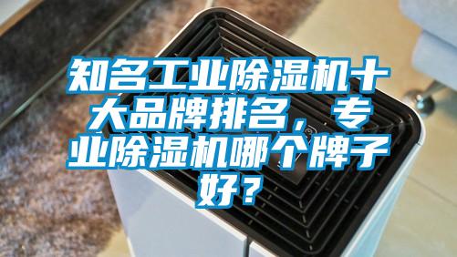 知名工業(yè)除濕機十大品牌排名，專業(yè)除濕機哪個牌子好？