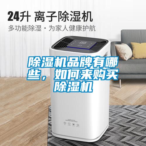 除濕機品牌有哪些，如何來購買除濕機