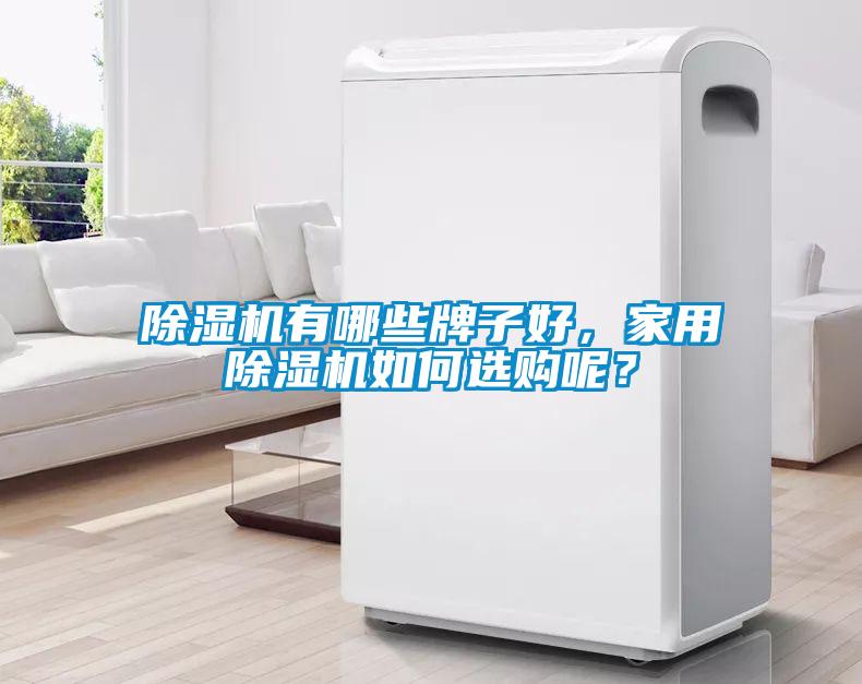 除濕機有哪些牌子好，家用除濕機如何選購呢？