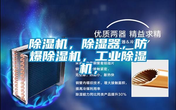 除濕機(jī)，除濕器，防爆除濕機(jī)，工業(yè)除濕機(jī)，
