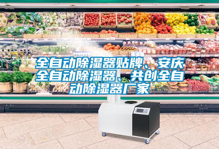 全自動(dòng)除濕器貼牌、安慶全自動(dòng)除濕器、共創(chuàng)全自動(dòng)除濕器廠家