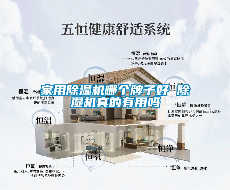 家用除濕機(jī)哪個牌子好 除濕機(jī)真的有用嗎