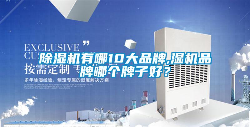 除濕機(jī)有哪10大品牌,濕機(jī)品牌哪個牌子好？