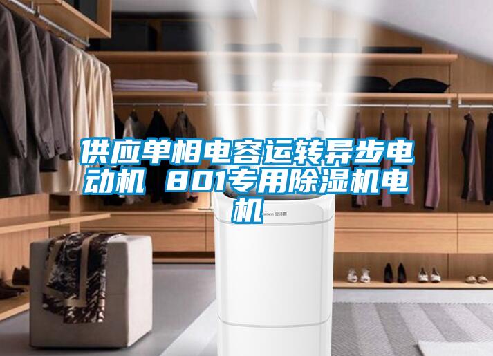 供應(yīng)單相電容運(yùn)轉(zhuǎn)異步電動(dòng)機(jī) 801專(zhuān)用除濕機(jī)電機(jī)