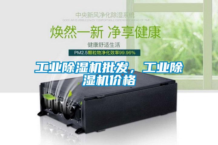 工業除濕機批發，工業除濕機價格