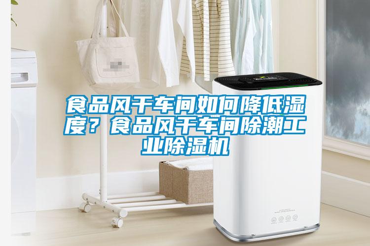 食品風(fēng)干車(chē)間如何降低濕度？食品風(fēng)干車(chē)間除潮工業(yè)除濕機(jī)
