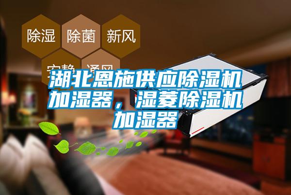 湖北恩施供應除濕機加濕器，濕菱除濕機加濕器