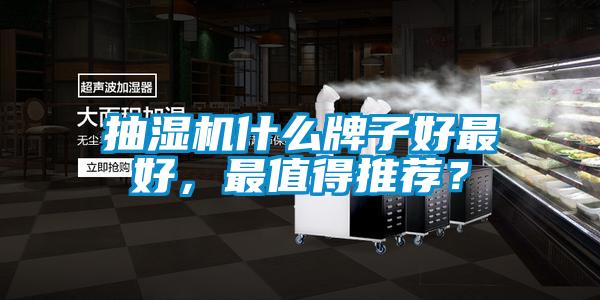 抽濕機什么牌子好最好，最值得推薦？