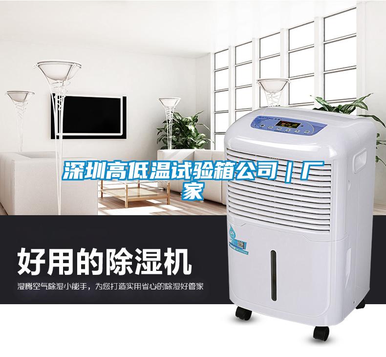 深圳高低溫試驗(yàn)箱公司｜廠(chǎng)家