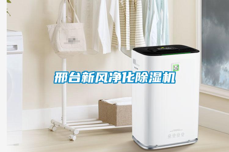 邢臺(tái)新風(fēng)凈化除濕機(jī)