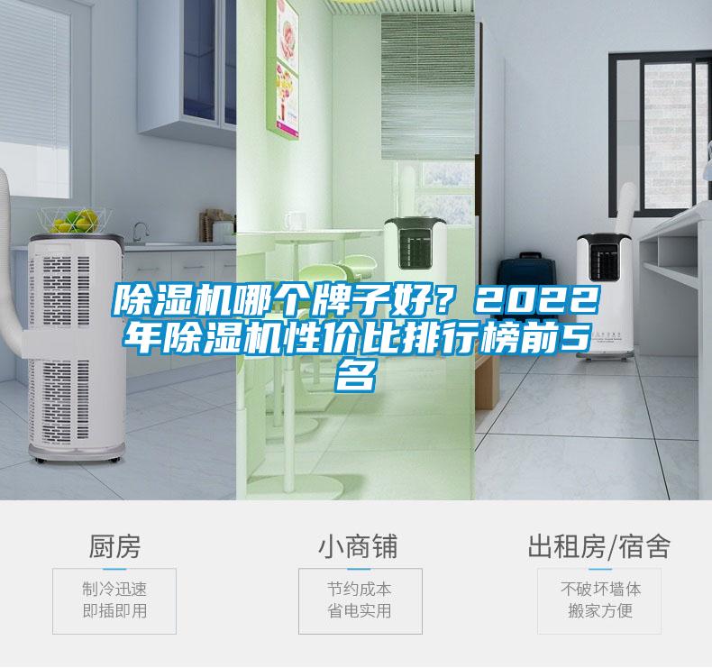 除濕機哪個牌子好？2022年除濕機性價比排行榜前5名