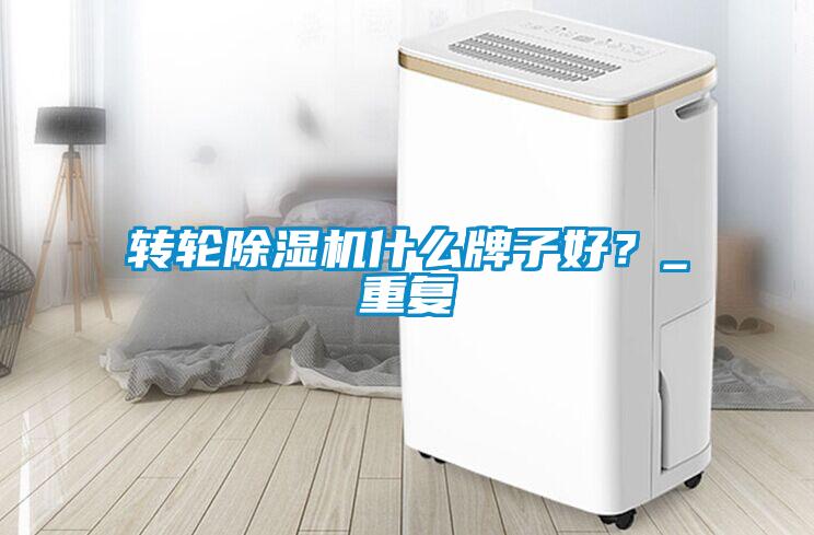 轉(zhuǎn)輪除濕機(jī)什么牌子好？_重復(fù)