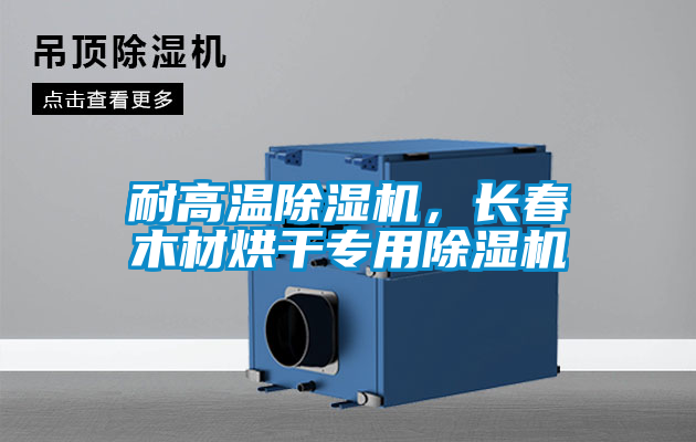耐高溫除濕機，長春木材烘干專用除濕機