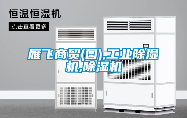 雁飛商貿(圖),工業(yè)除濕機,除濕機