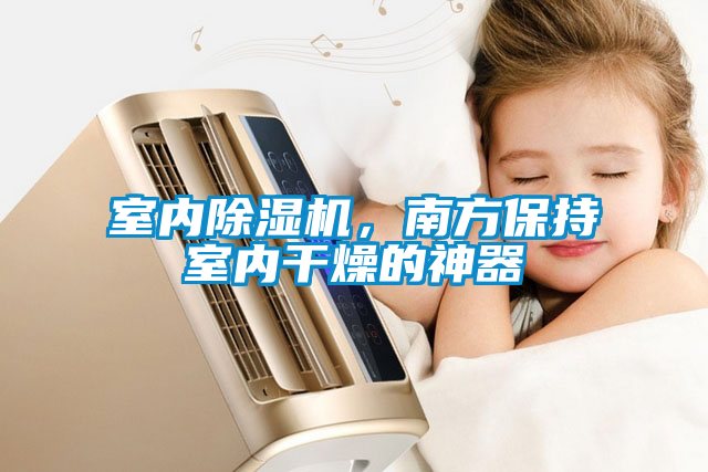 室內除濕機，南方保持室內干燥的神器