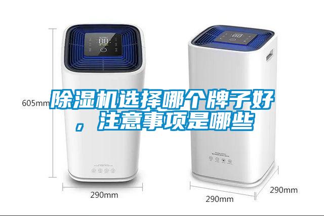除濕機選擇哪個牌子好，注意事項是哪些