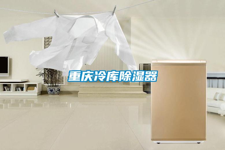 重慶冷庫(kù)除濕器