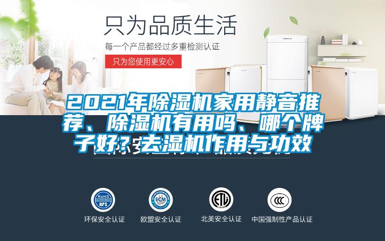 2021年除濕機家用靜音推薦、除濕機有用嗎、哪個牌子好？去濕機作用與功效