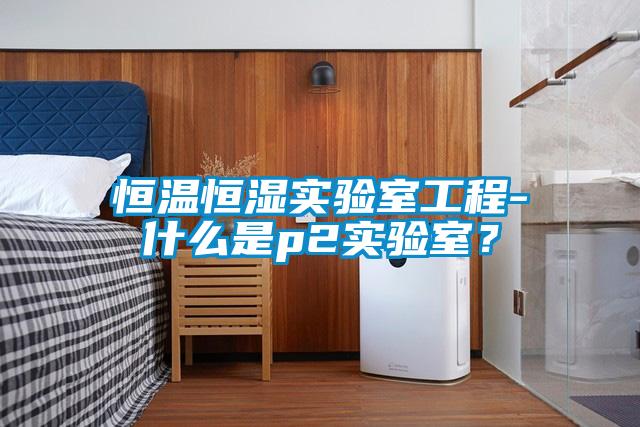恒溫恒濕實驗室工程-什么是p2實驗室？