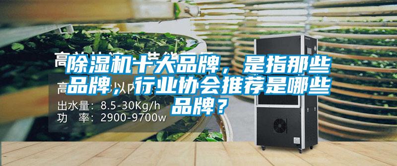 除濕機十大品牌，是指那些品牌，行業(yè)協(xié)會推薦是哪些品牌？