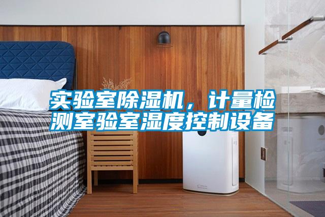 實(shí)驗(yàn)室除濕機(jī)，計(jì)量檢測(cè)室驗(yàn)室濕度控制設(shè)備