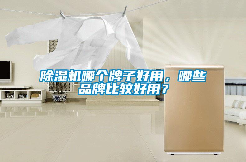 除濕機(jī)哪個(gè)牌子好用，哪些品牌比較好用？