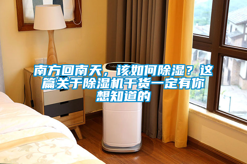 南方回南天，該如何除濕？這篇關于除濕機干貨一定有你想知道的