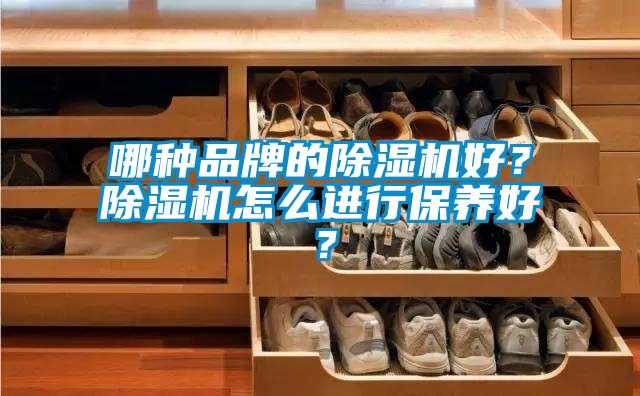 哪種品牌的除濕機好？除濕機怎么進行保養(yǎng)好？