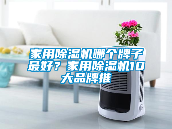 家用除濕機哪個牌子最好？家用除濕機10大品牌推