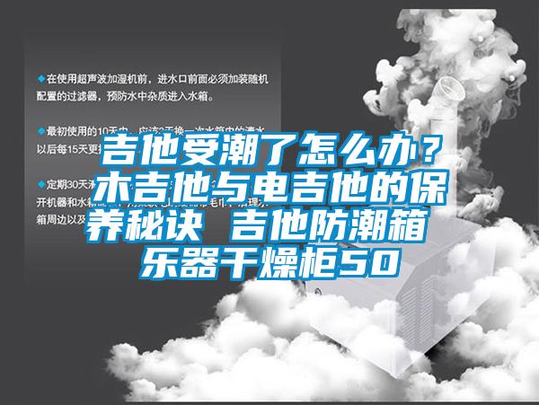 吉他受潮了怎么辦？木吉他與電吉他的保養秘訣 吉他防潮箱 樂器干燥柜50
