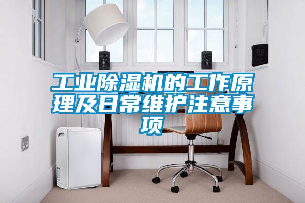 工業(yè)除濕機(jī)的工作原理及日常維護(hù)注意事項
