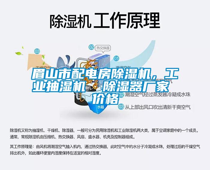 眉山市配電房除濕機，工業抽濕機  除濕器廠家 價格