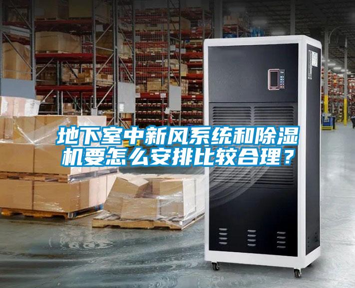 地下室中新風系統和除濕機要怎么安排比較合理？