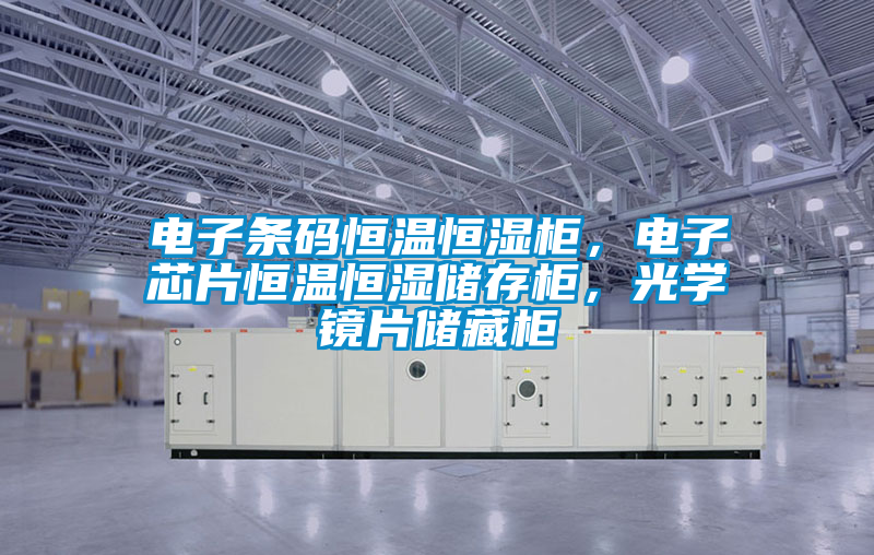 電子條碼恒溫恒濕柜，電子芯片恒溫恒濕儲存柜，光學(xué)鏡片儲藏柜