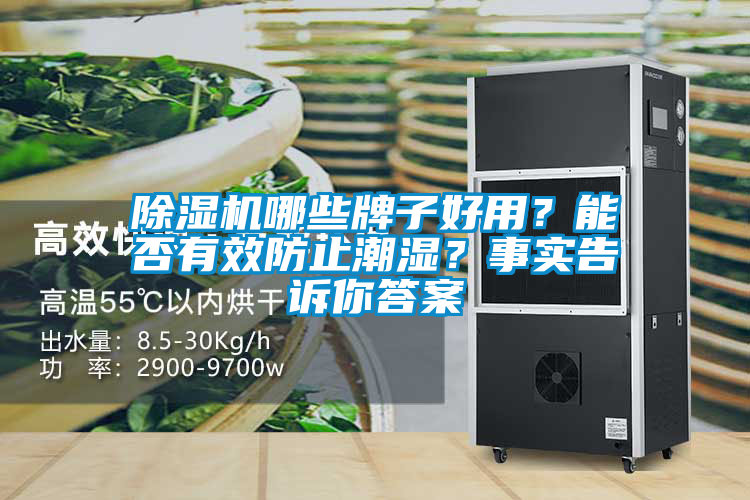 除濕機哪些牌子好用？能否有效防止潮濕？事實告訴你答案