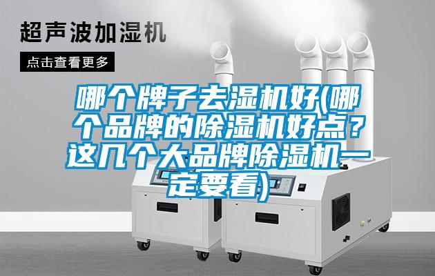 哪個牌子去濕機好(哪個品牌的除濕機好點？這幾個大品牌除濕機一定要看)