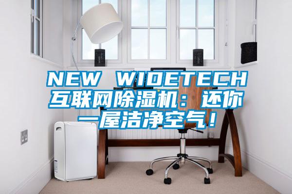 NEW WIDETECH互聯(lián)網(wǎng)除濕機：還你一屋潔凈空氣！