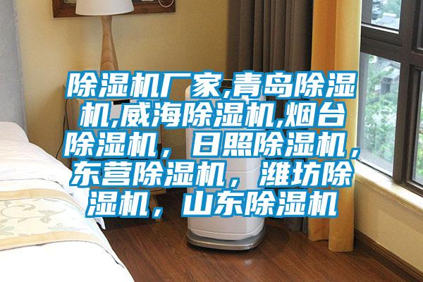 除濕機廠家,青島除濕機,威海除濕機,煙臺除濕機，日照除濕機，東營除濕機，濰坊除濕機，山東除濕機
