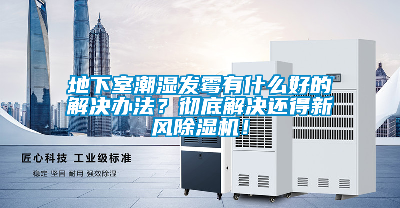 地下室潮濕發霉有什么好的解決辦法？徹底解決還得新風除濕機！