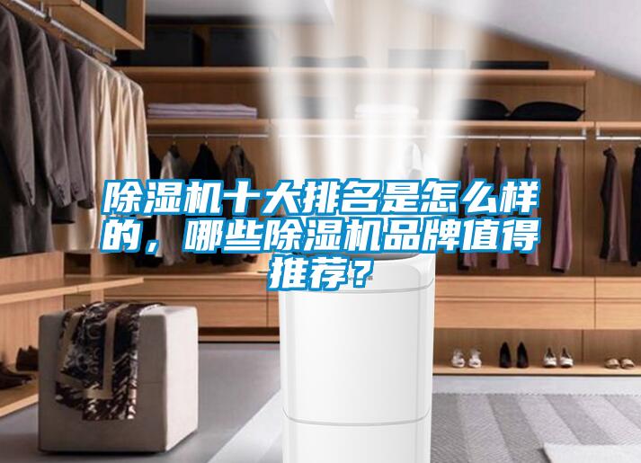 除濕機(jī)十大排名是怎么樣的，哪些除濕機(jī)品牌值得推薦？