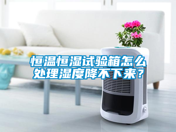恒溫恒濕試驗箱怎么處理濕度降不下來？