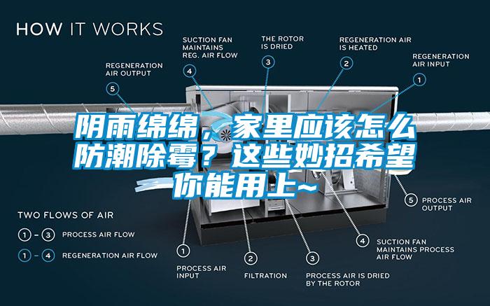陰雨綿綿，家里應該怎么防潮除霉？這些妙招希望你能用上~
