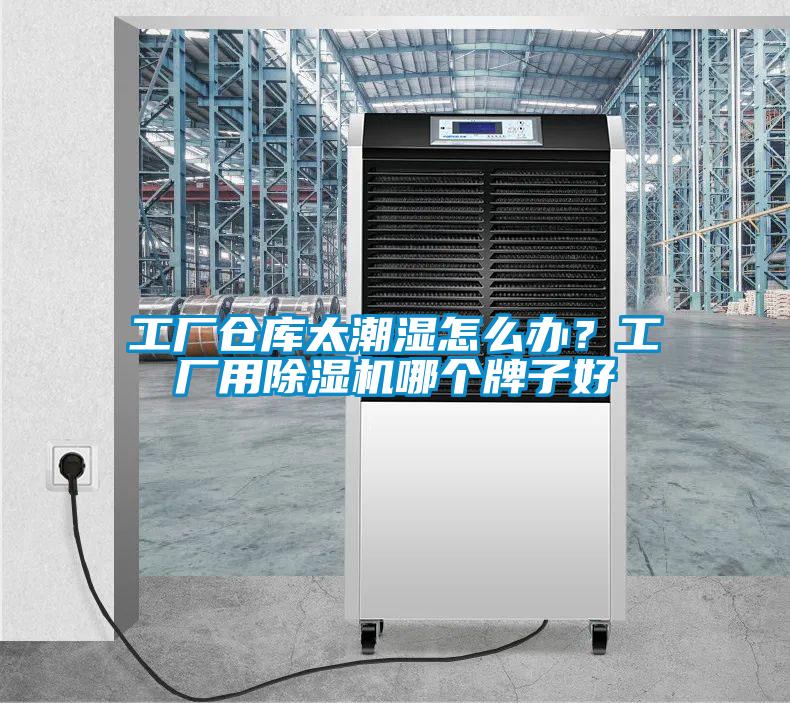 工廠倉庫太潮濕怎么辦？工廠用除濕機(jī)哪個(gè)牌子好