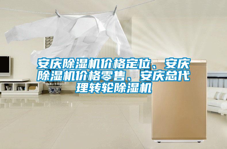 安慶除濕機價格定位、安慶除濕機價格零售、安慶總代理轉(zhuǎn)輪除濕機