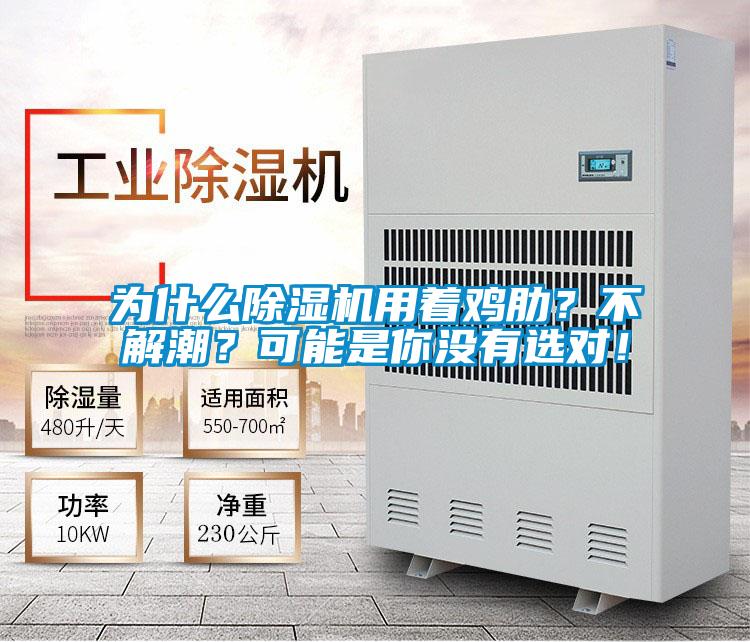 為什么除濕機用著雞肋？不解潮？可能是你沒有選對！