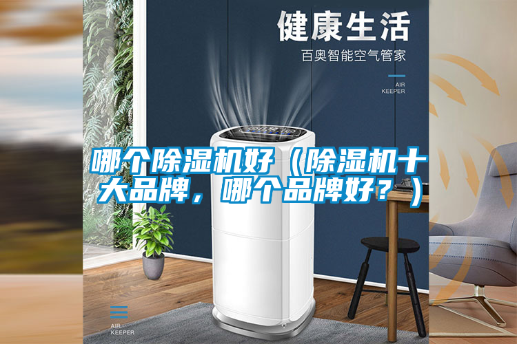 哪個(gè)除濕機(jī)好（除濕機(jī)十大品牌，哪個(gè)品牌好？）