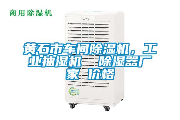 黃石市車間除濕機(jī)，工業(yè)抽濕機(jī)  除濕器廠家 價(jià)格